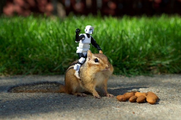 Tags: Humor, squirrels with lightsabers, star wars